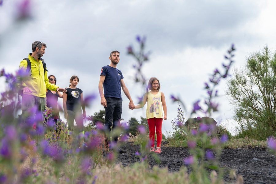 Tour Etna e Wine