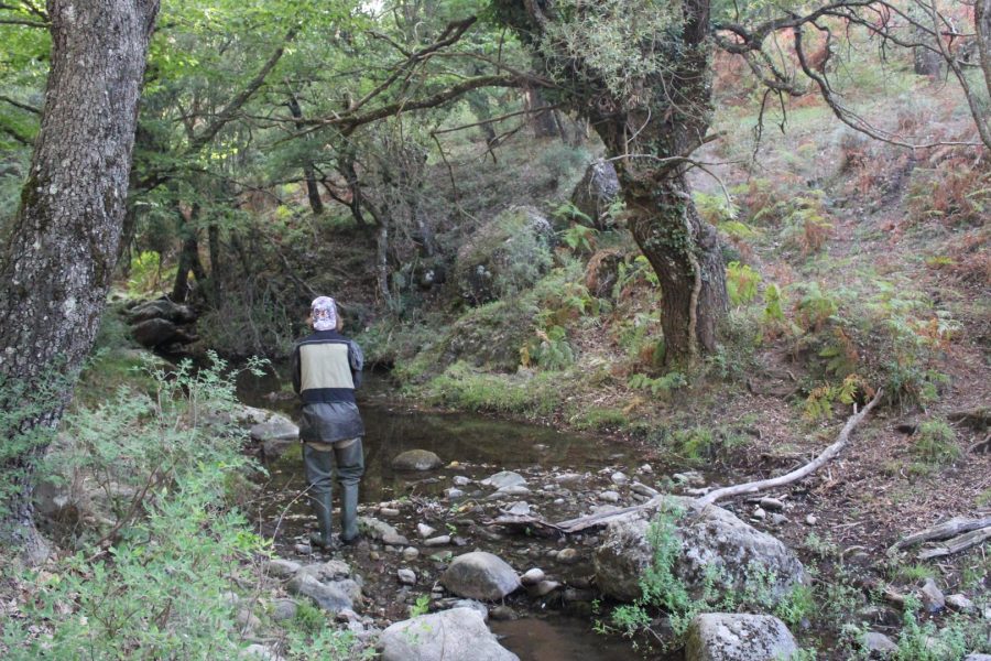 BOAT FISHING – Pesca dalla barca