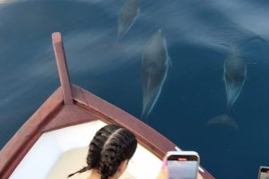 Tour ACI TREZZA di H 4:00 circa