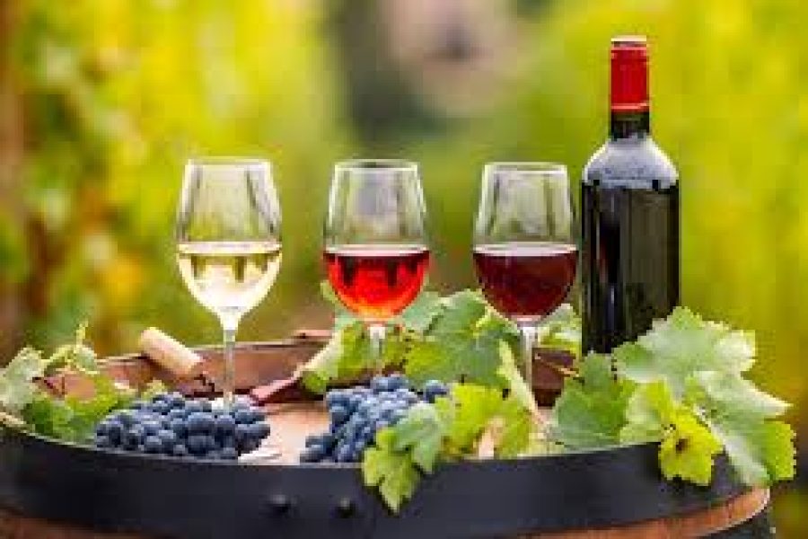 Degustazione esperienza vini e light lunch