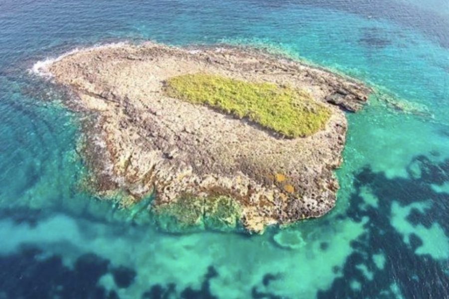 Private Tour Ortigia, Sea Caves, Plemmirio, Pillirina, ExTunafishing and Ognina with Prosecco